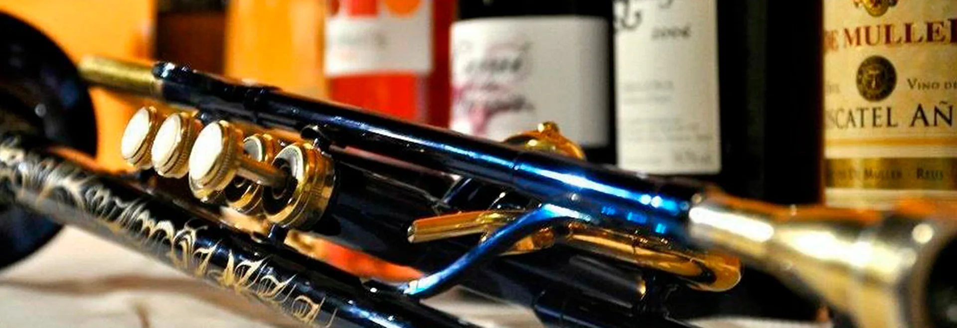 Xavi de la Salud Footer